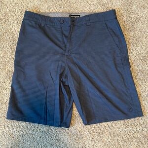 Hang Ten casual or golf shorts